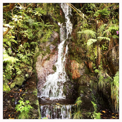 Madeira Wanderung bei Calheta ins Rabacal zu den 25 Fontes Wasserfällen