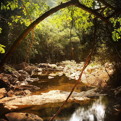 Wanderungen durch die Natur von Koh Chang in Thailand