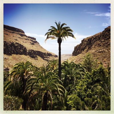 Ausblick in die Natur von Gran Canaria