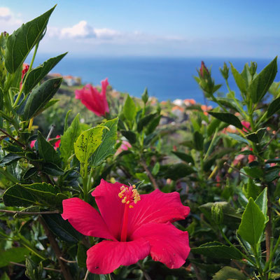 Madeira Haus Häuschen mieten in Ponte do Sol über AirBnB ein kleiner Einblick in unser Ferienhäuschen 