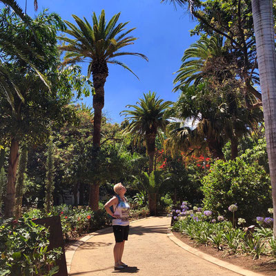 Im Parque García Sanabria in Santa Cruz auf Teneriffa