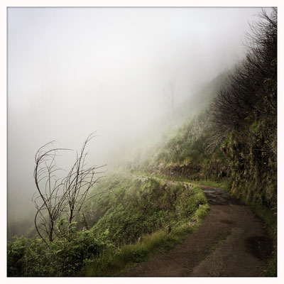 Madeira Wanderung bei Calheta ins Rabacal zu den 25 Fontes Wasserfällen im Nebel Wolken durch den Tunnel 