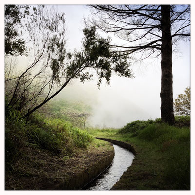 Madeira Wanderung bei Calheta ins Rabacal zu den 25 Fontes Wasserfällen im Nebel Wolken durch den Tunnel 