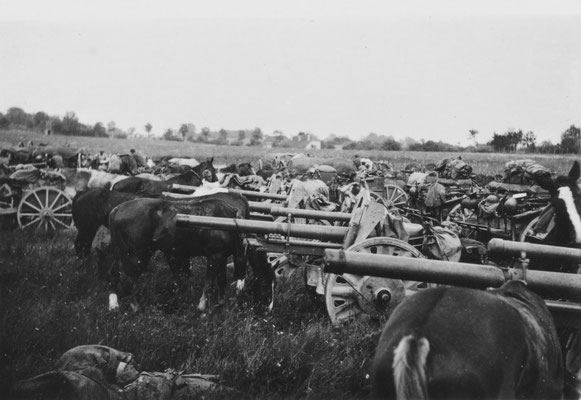 Pause im Gefecht für Pferd und Soldat (Frankreich 1940)