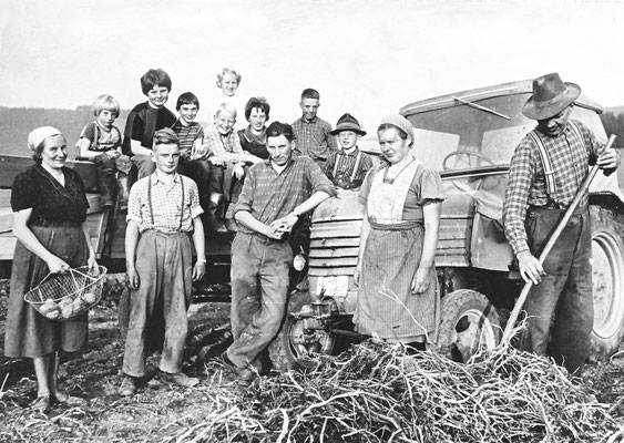 Mitglieder der Familie Gerke und Helfer aus der Nachbarschaft bei der Kartoffellese Anfang der sechsz. Jahre