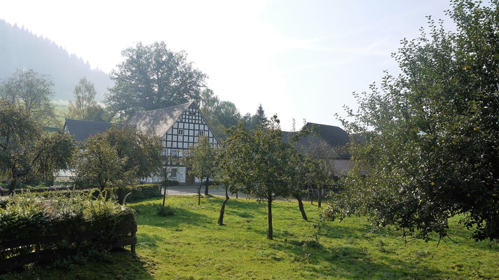 Die Hofstelle Baust (Gockeln Hof) liegt idyllisch hinter Garten und Kälberweide