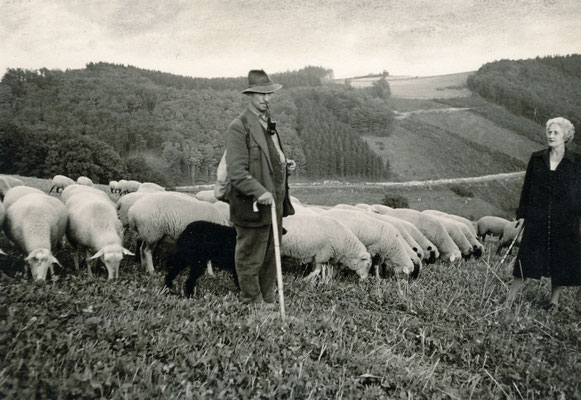 Für Gäste immer ein Foto wert: Anton Gerke und seine Herde