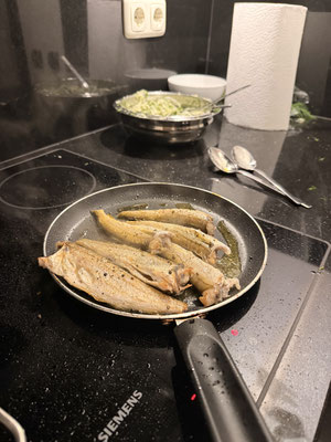 die Wittlinge werden schön gebraten