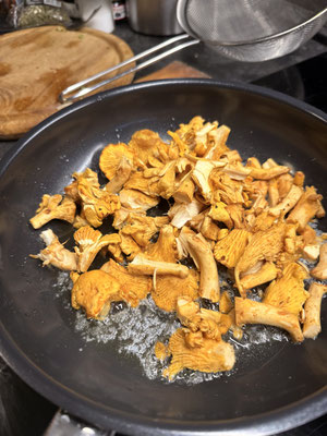 und schöne Pfifferlinge