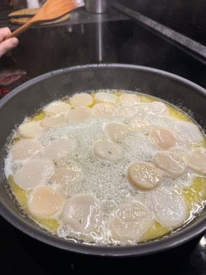 nun zu den Jacobsmuscheln