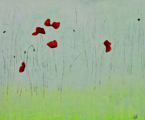 Foto: Robert Kapper