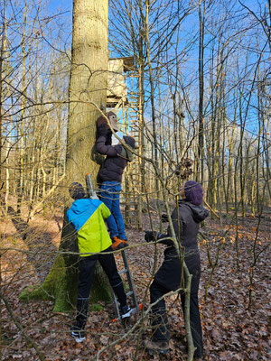 Aufhängen Foto: NABU/H. Huber