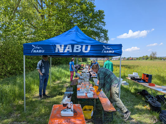 Foto: NABU / C.Bücker