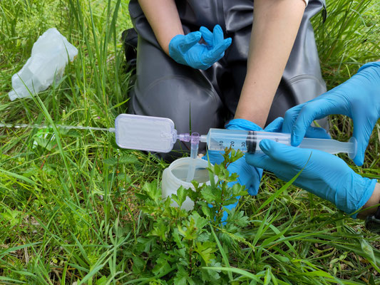 Wasser wird durch Filter gepumpt Foto: NABU/I. Bücker