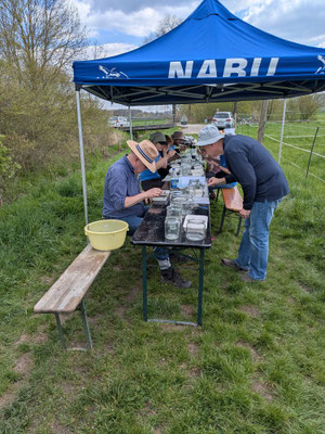 Vorsortierung Foto: NABU/C. Bücker