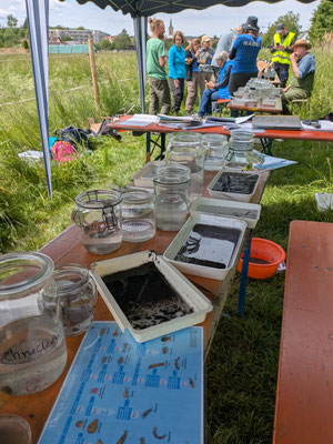 Vorsortierungsstation Foto: NABU/C.Bücker