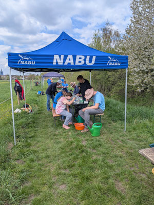 Vorsortierung Foto: NABU/C. Bücker