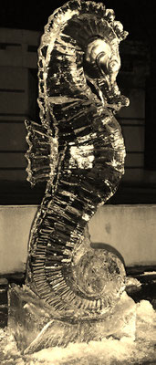 Hippocampe - Sculpture sur glace - Manon Cherpe