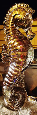 Hippocampe - Sculpture sur glace - Manon Cherpe