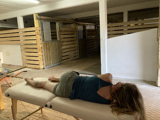 Le shiatsu s'adresse autant au cheval qu'à son propriétaire !