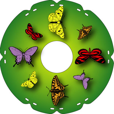 2141 Schmetterlinge bunt