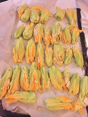 Kürbisblüten - Pumpkin Blossoms