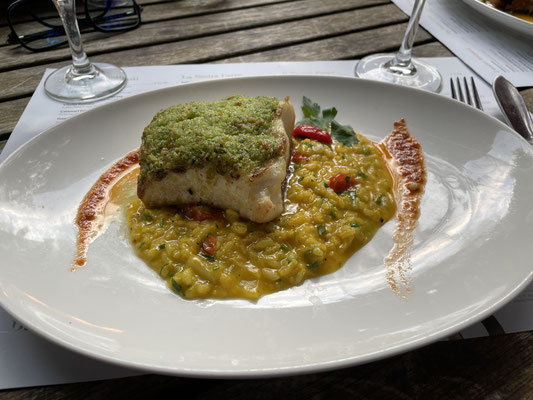 Steinbeißer. Morditore di pietre. wolffish.