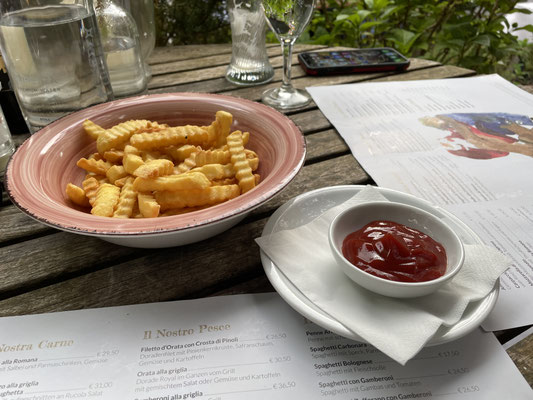 Pommes. Patatine fritte. fries.