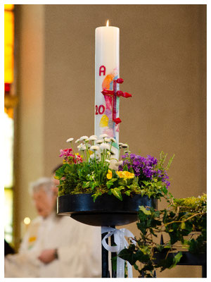 Kathol. Kirche Sebnitz, Kommunion 2024
