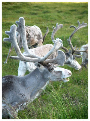 Norwegen