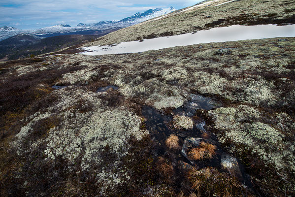 Rondane Nationalpark, Norway 05/2018