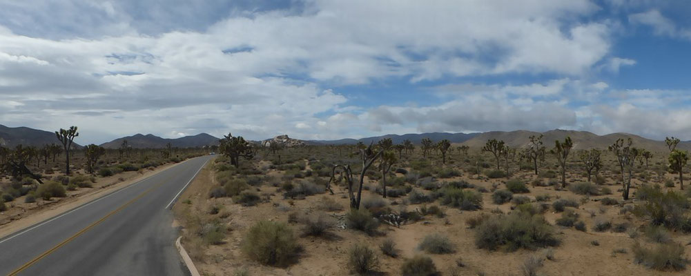 Parc National de Joshua Tree