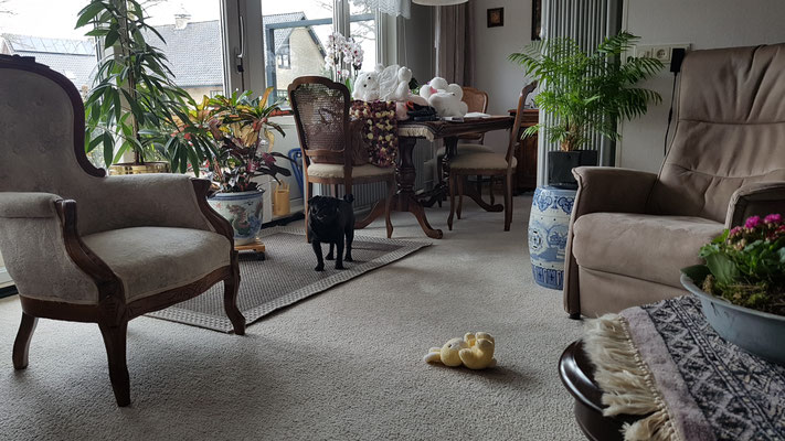 Op bezoek bij oma Harlingen
