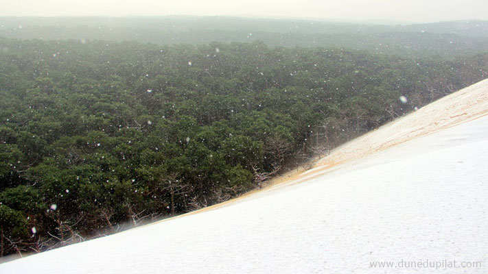 Des flocons sur le flanc Est de la dune