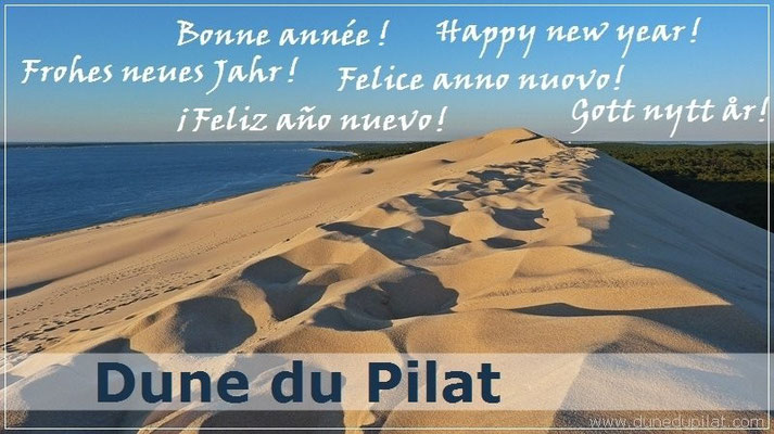 Bonne année ! Happy New Year!