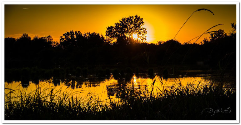 coucher de soleil en Dombes