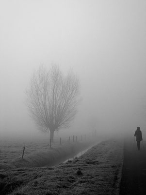 Wim Holtrop 