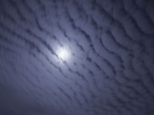 Herman Hollak f 3,2 8 sec iso 100