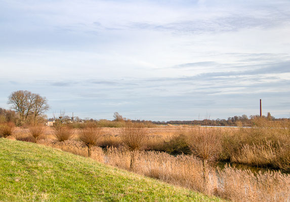 Jannes Rosman 1/400 f8 iso200 31mm