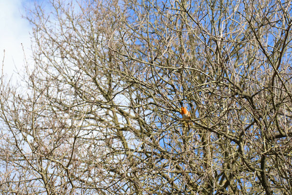 Minne van der Heide f7.1 1/500sec iso400 70 mm