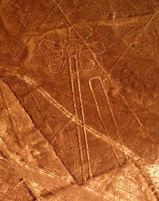 Linee Di Nazca Il Mondo Degli Ufo