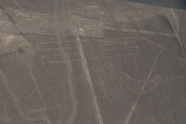 Linee di Nazca