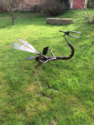 échassier  80cm   à adopter