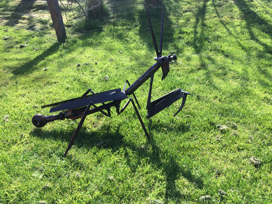Mantes religieuse  80 cm apprivoisé