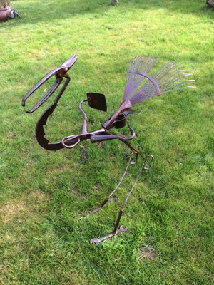 échassier  80cm   à adopter