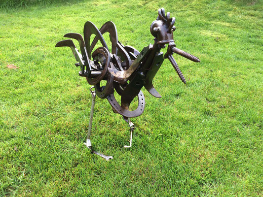 coq 60 cm à adopter