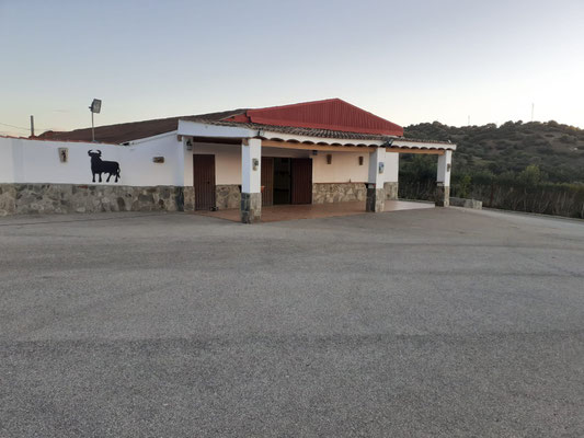 Hacer una capea en El Puerto de Santa Maria