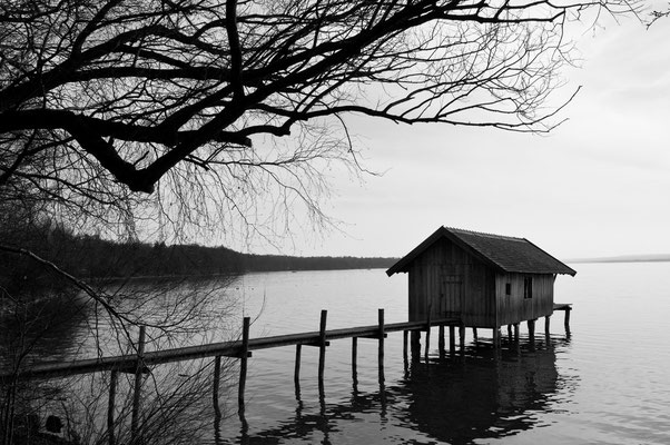 On the Lake