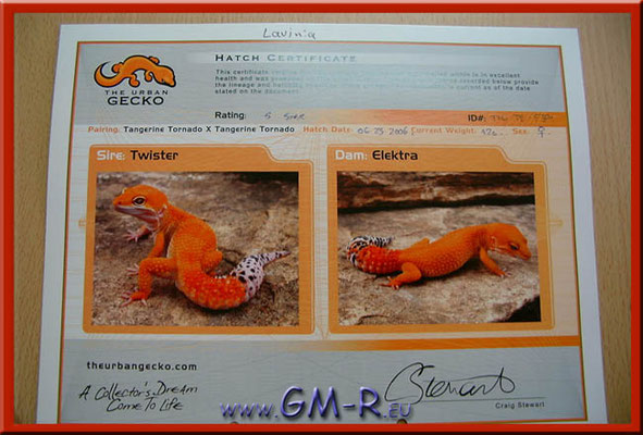Zertifikat von Craig Stewart "The Urban Gecko" für unsere Importtiere