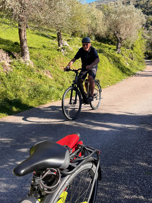 Zurück durch die blühende Frühlingsnatur